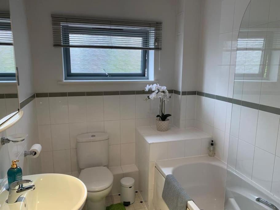 Brownberry Tree Serviced Apartment CBG Esterno foto